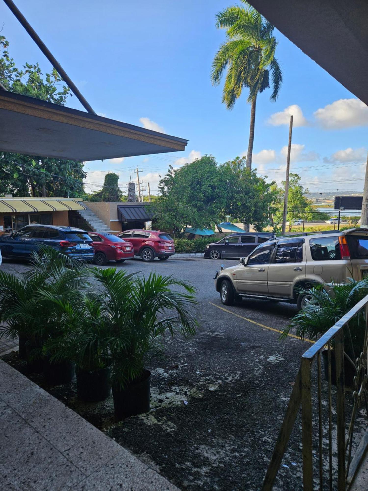 Palm Bay Guest House & Restaurant Montego Bay Exteriör bild