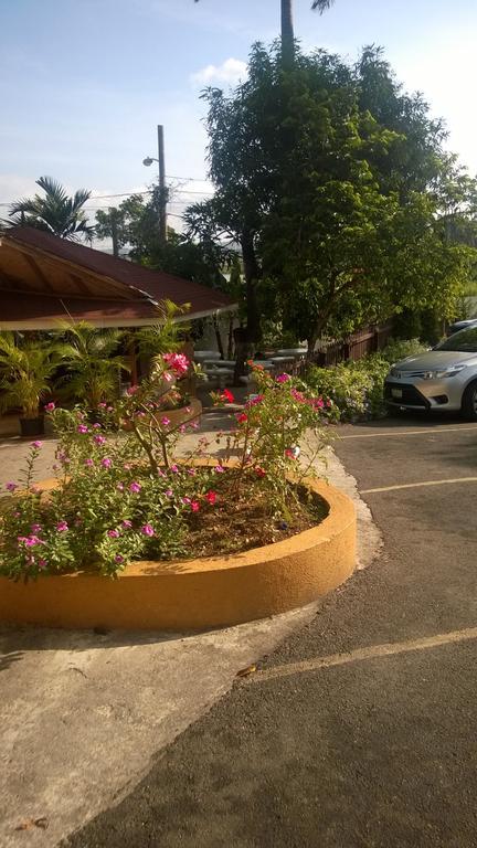 Palm Bay Guest House & Restaurant Montego Bay Exteriör bild